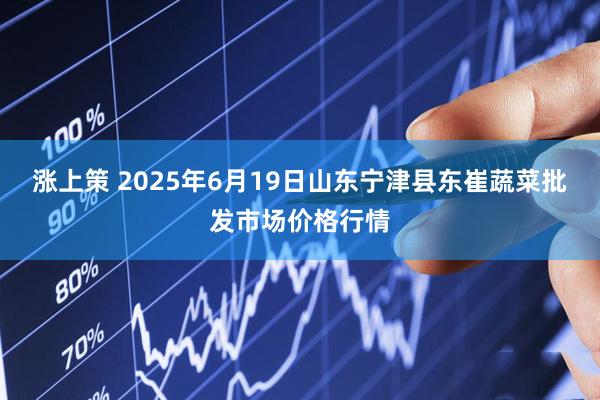 涨上策 2025年6月19日山东宁津县东崔蔬菜批发市场价格行情