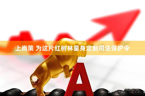 上尚策 为这片红树林量身定制司法保护令