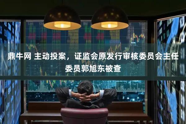 鼎牛网 主动投案，证监会原发行审核委员会主任委员郭旭东被查