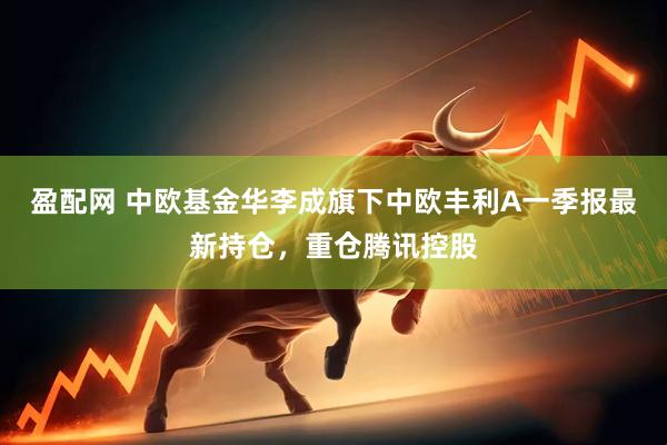 盈配网 中欧基金华李成旗下中欧丰利A一季报最新持仓，重仓腾讯控股