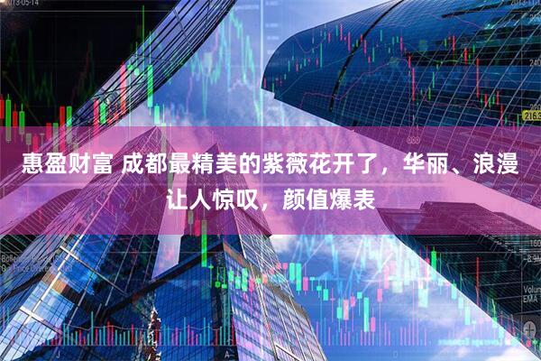 惠盈财富 成都最精美的紫薇花开了，华丽、浪漫让人惊叹，颜值爆表